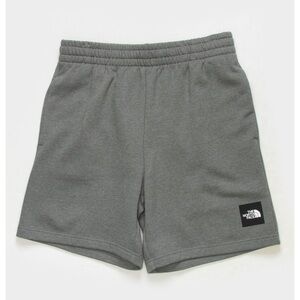 The North Face Gray Shorts
